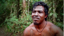 Les peuples autochtones qui protègent les forêts anciennes sont massacrés